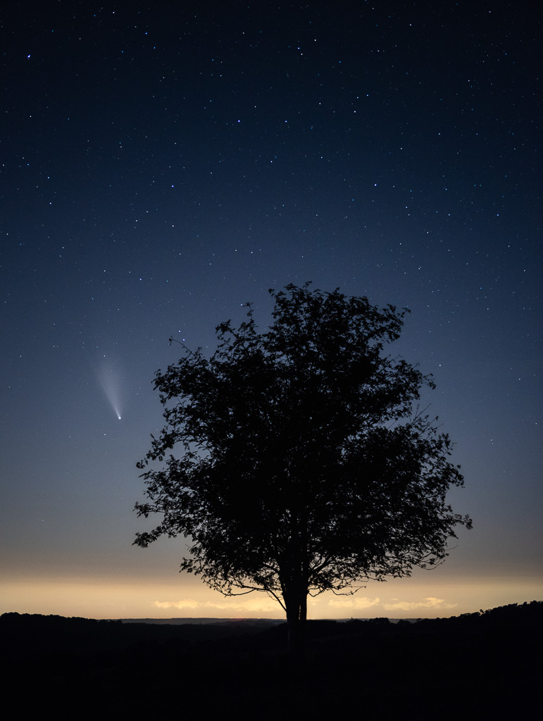 Neowise over Ashdown Forest