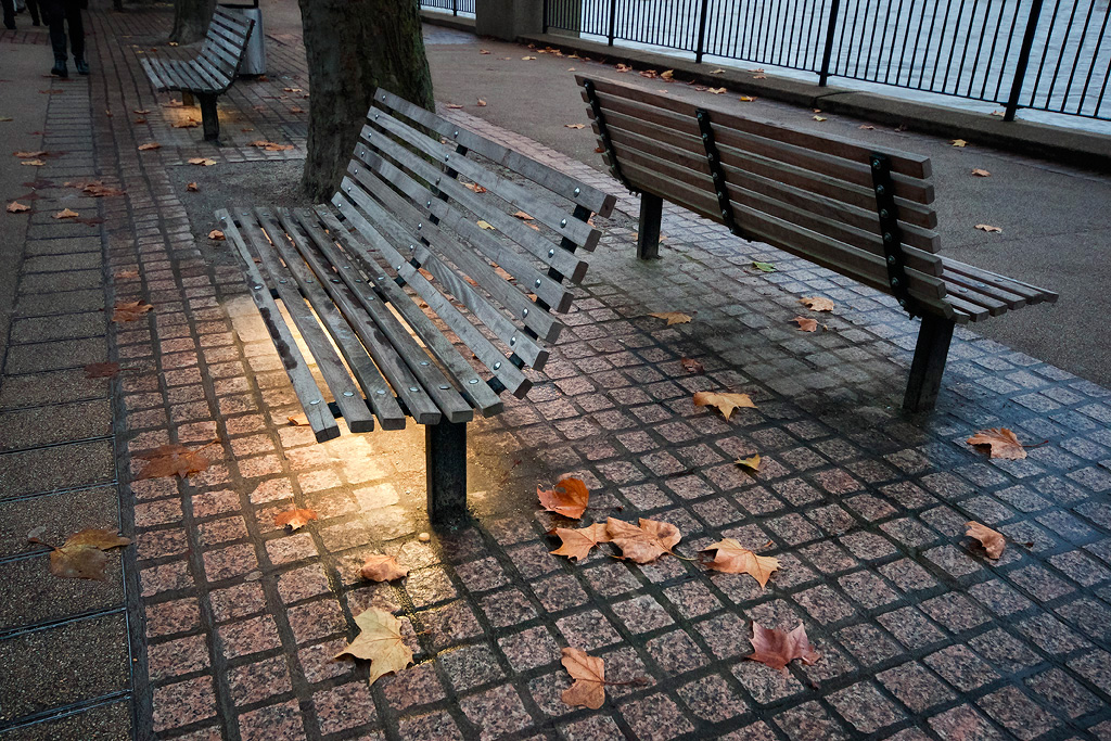 Bench-and-Leaves