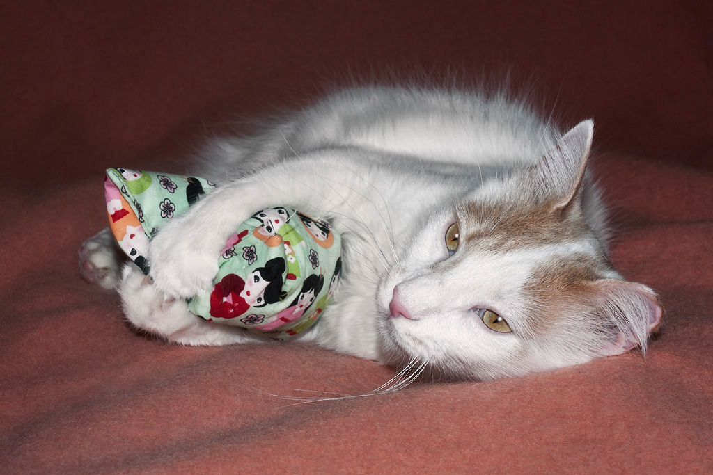 Buddy-and-Valerian-Bag3