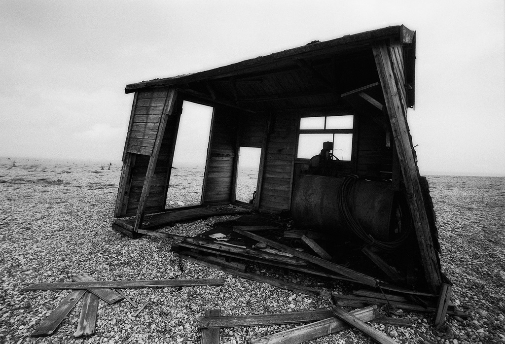 Skeletal-Shed