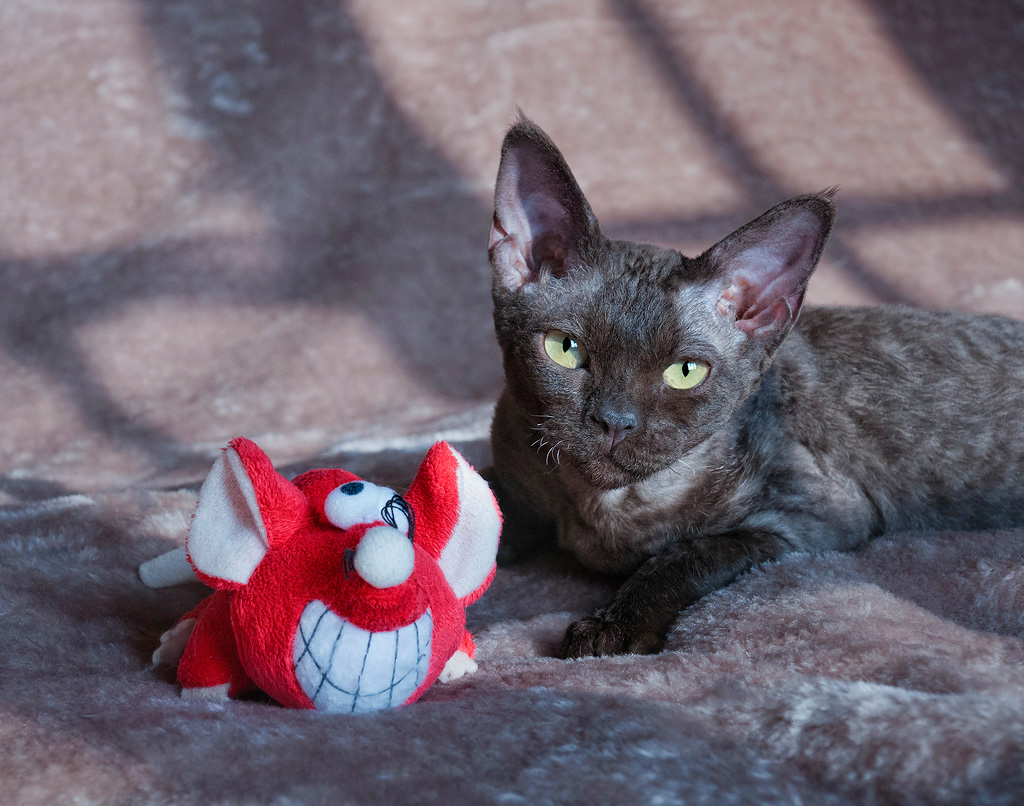 Sonea and Red Mouse