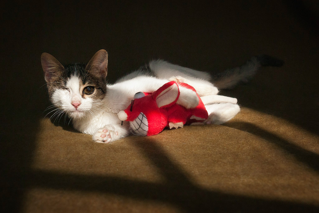 Vicky in the Sun
