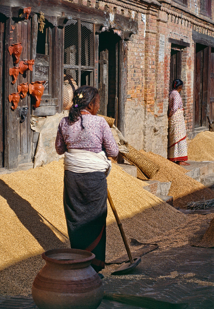 Grain for Sale