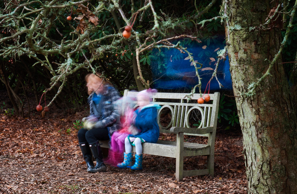Ghosts-in-the-Park