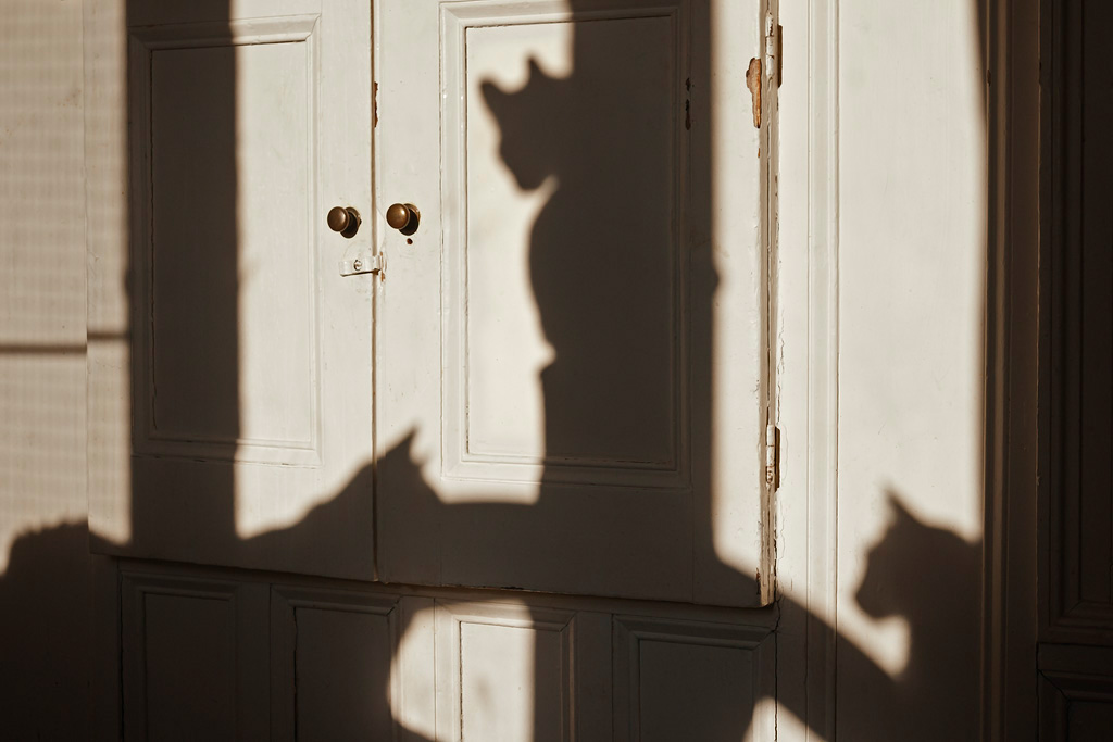 Shadow-Cats4