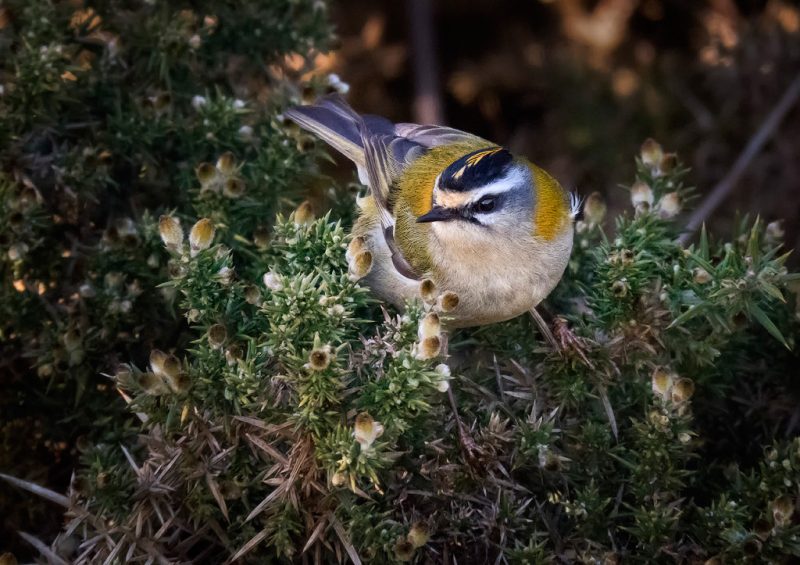 I don’t believe it!