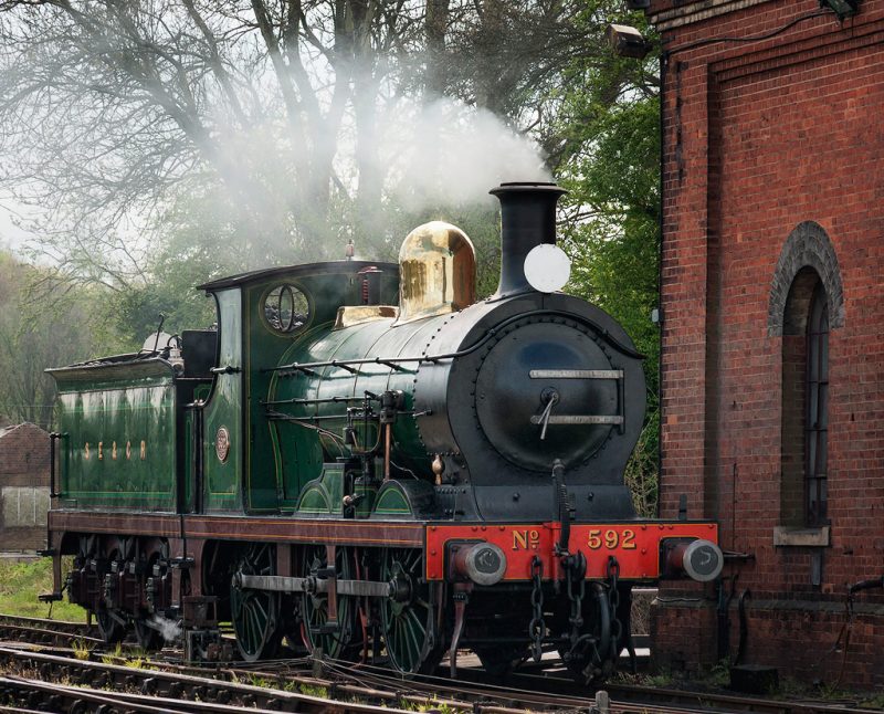 Bluebell – the trains