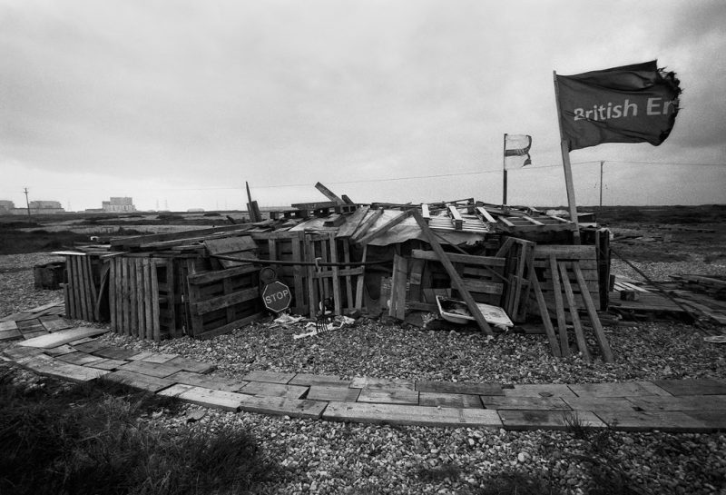 Dungeness