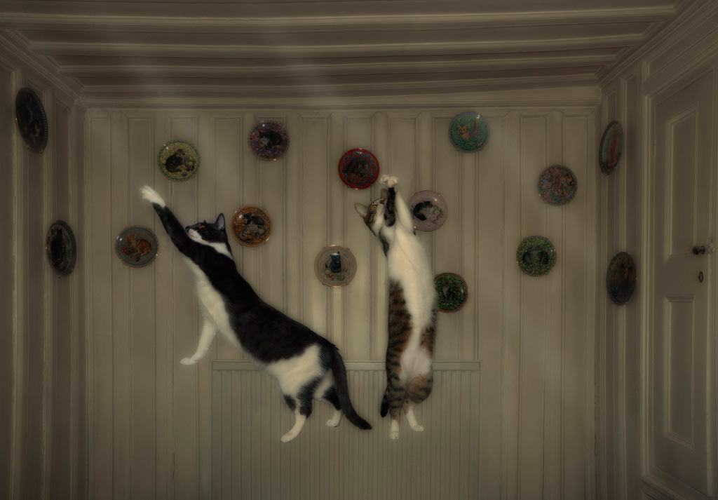 Playing with sunbeams