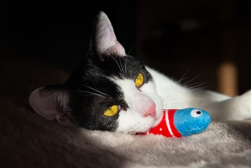 Tarzan is growing up