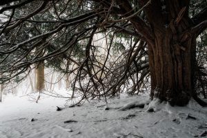 It’s Christ…mas!!!