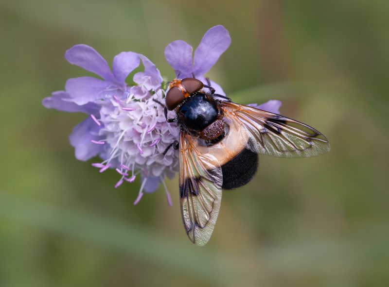 One day in August